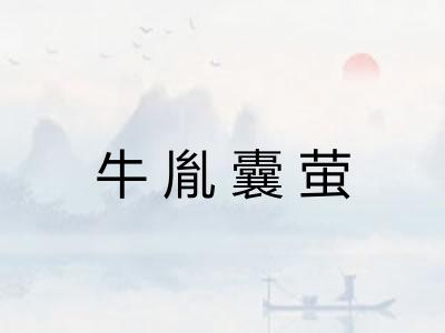 牛胤囊萤 牛胤囊萤
