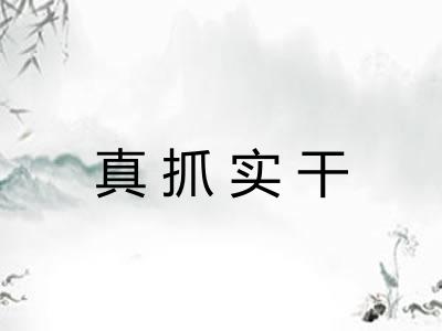 真抓实干 真抓实干