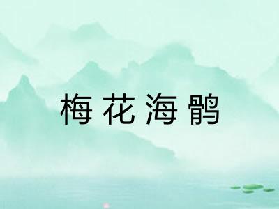 梅花海鹘