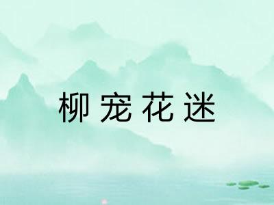 柳宠花迷
