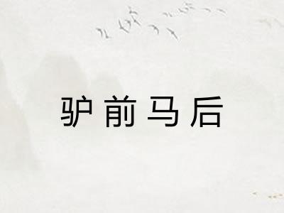 驴前马后 驴前马后