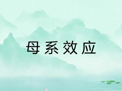 母系效应 母系效应