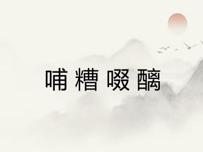 哺糟啜醨
