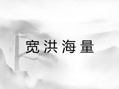 宽洪海量