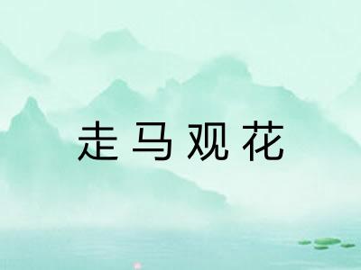 走马观花