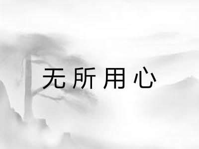 无所用心 无所用心