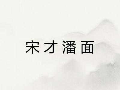 宋才潘面