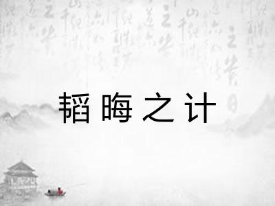 韬晦之计 韬晦之计