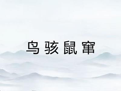 鸟骇鼠窜 鸟骇鼠窜
