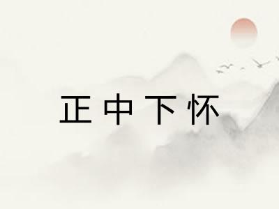 正中下怀