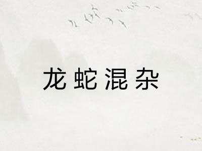 龙蛇混杂