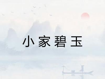 小家碧玉 小家碧玉