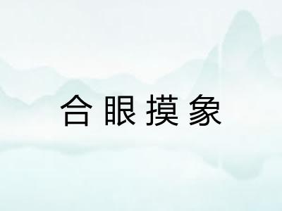 合眼摸象 合眼摸象