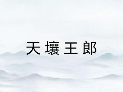 天壤王郎 天壤王郎