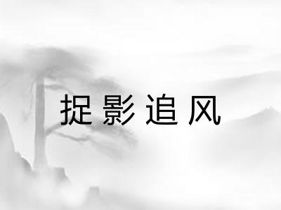 捉影追风 捉影追风