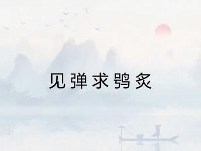 见弹求鸮炙