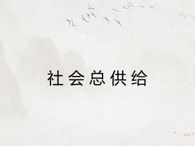 社会总供给