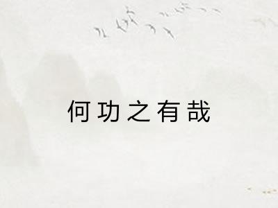 何功之有哉
