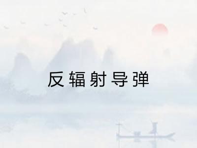 反辐射导弹 反辐射导弹