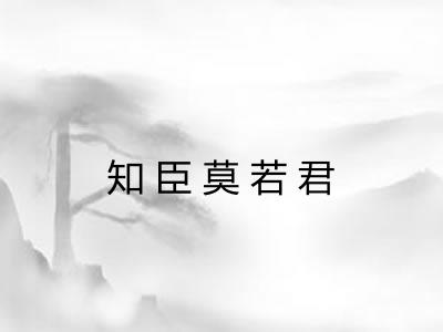 知臣莫若君 知臣莫若君