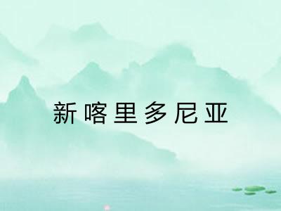 新喀里多尼亚