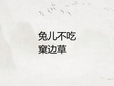 兔儿不吃窠边草 兔儿不吃窠边草